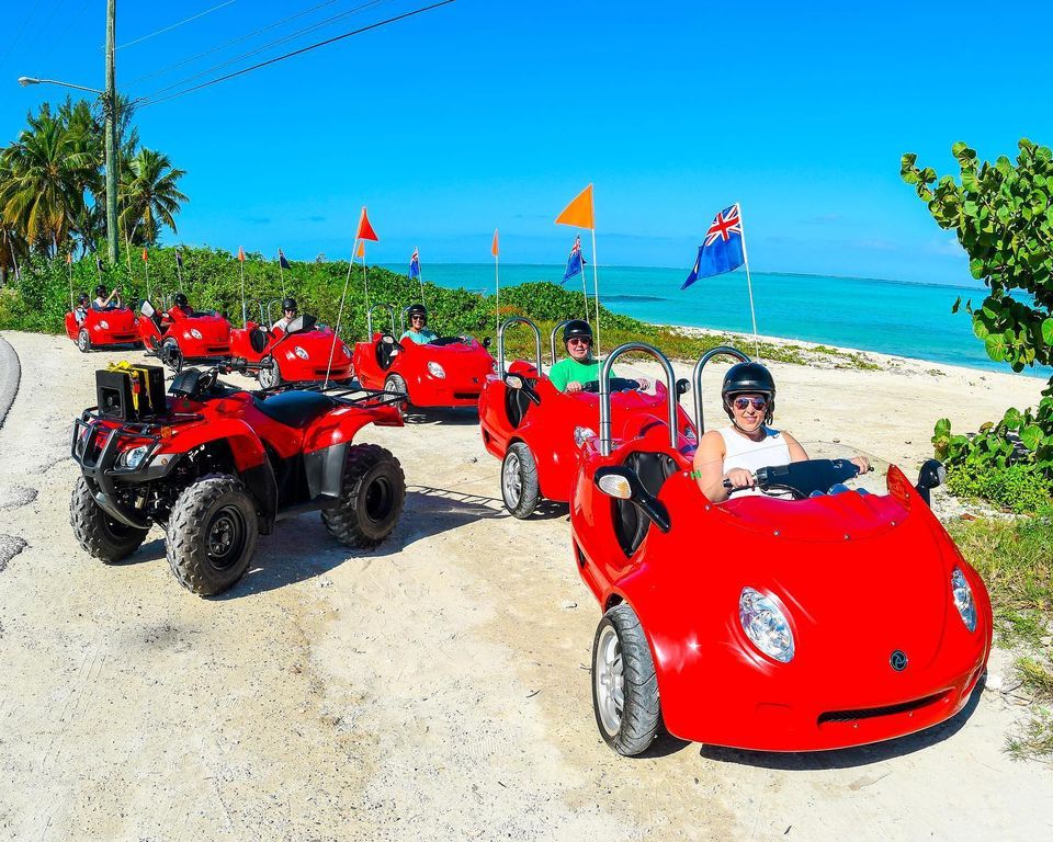 Love Buggy Tour